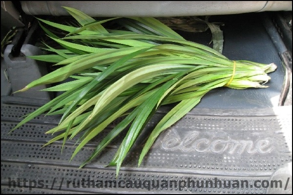 Mẹo khử m&ugrave;i h&ocirc;i nh&agrave; vệ sinh nhanh ch&oacute;ng