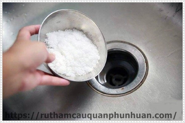 Ngăn rong r&ecirc;u b&aacute;m trong ống nước