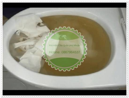 Hầm cầu đầy phải l&agrave;m sao?